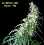 Mama Thai