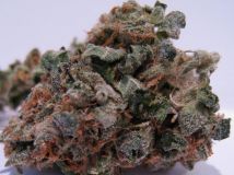 707 Headband