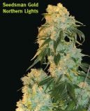 Nothern Lights