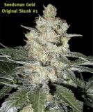 Original Skunk#1