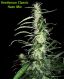 Haze mix