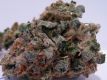 707 Headband