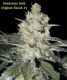 Original Skunk#1